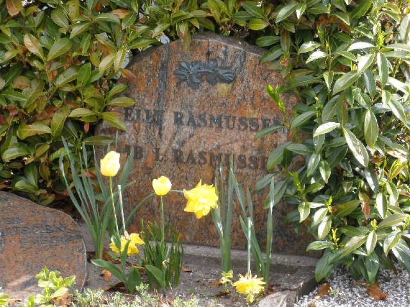 Ib L. Rasmussen.JPG